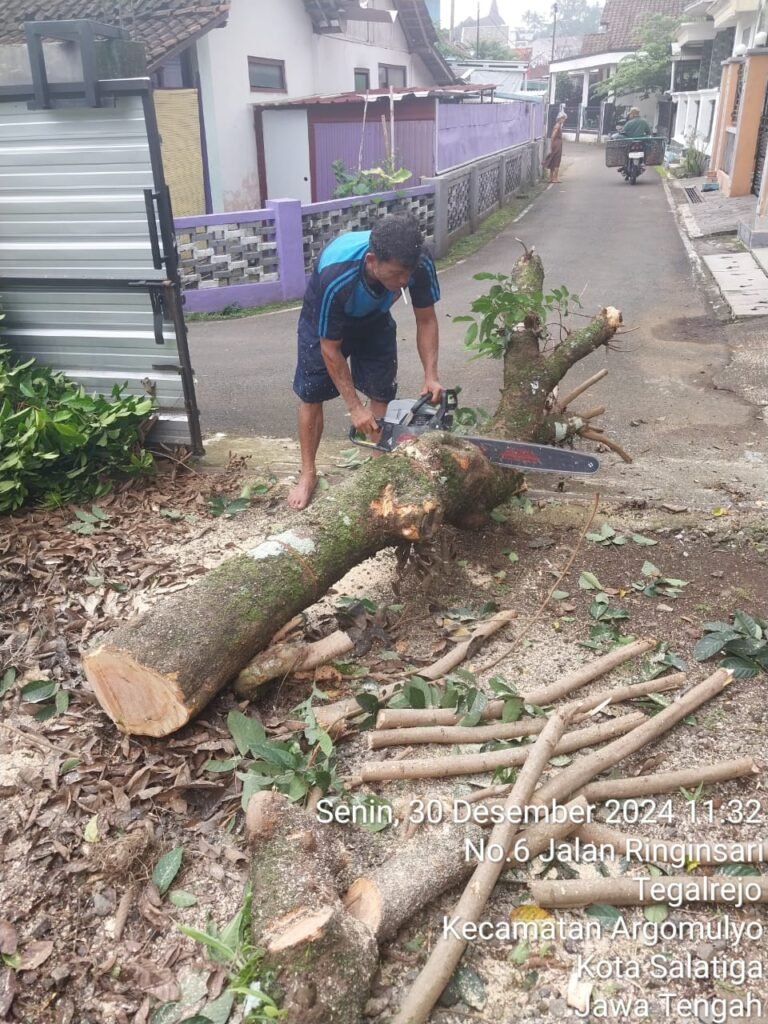 Jasa Tebang Pohon Semarang