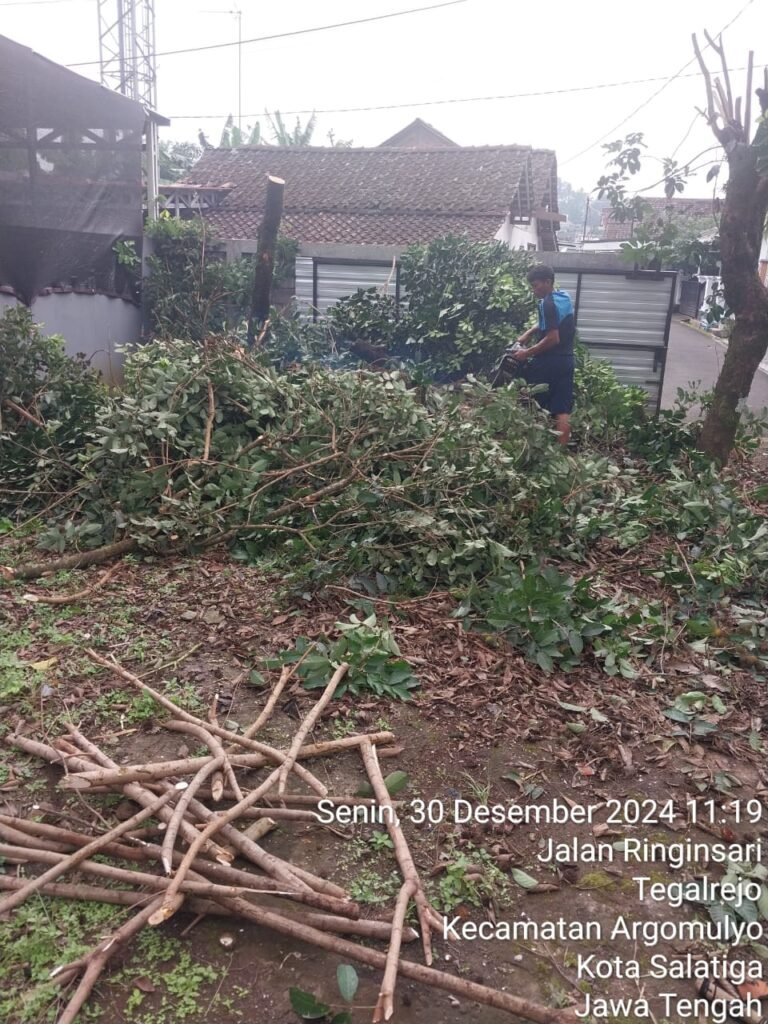 Jasa Tebang Pohon Semarang